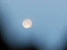 P2011734.webp