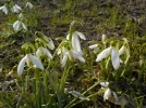 DSCN3401.webp