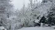 20180204_131502.webp