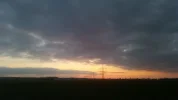 017.webp