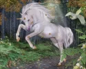 224571.webp