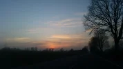 009.webp