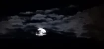 DSCN3049d.webp