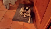 20171129_183255.webp