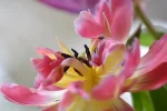 K800_DSC_3994.webp