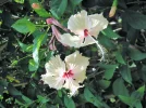 PICT0023.webp