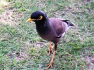 PICT0059.webp