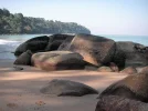 PICT0045.webp
