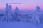 yllas%20kaamos.webp