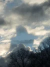 DSCN6385.webp