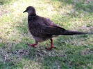 PICT0063.webp