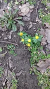 20180214_145735.webp