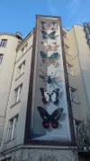 20180216_161601.webp