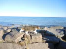 DSCN6491.webp