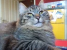 DSCN0201.webp