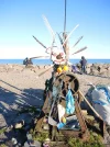 DSCN6513.webp