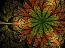 800px_COLOURBOX2809766.webp
