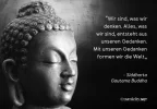 18_Siddharta.webp