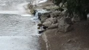 20180301_140034 2.webp
