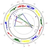 Beispiel Radix.webp