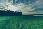 lake-1611044_1920.webp lake-1611044_1920.webp