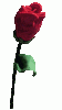 28B.GIF