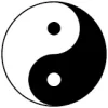 yin und yang.webp