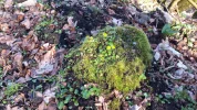 20180314_154709.webp