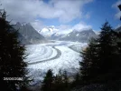 Aletschgletscher 018.webp