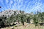 DSC_1794.webp