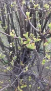 20180316_170227 1.webp