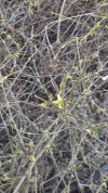 20180320_161858.webp