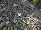 DSC00907.webp