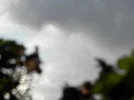 P2111753.webp