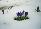 P4020042 (3).webp