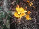 DSCF0701.webp