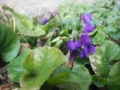 DSCF0716.webp