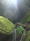 CIMG3443.webp