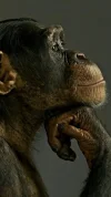 4d567230154b15e85aeb9759113158f4.webp