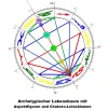 Lotos Lebensbaum.webp