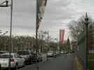P4010437.webp