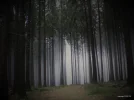 Geradlinigkeit Kopie.webp