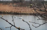 DSCF0729.webp