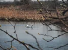 DSCF0730.webp