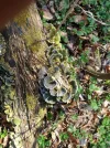 20180407_143523.webp