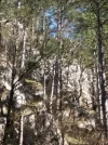 20180407_150204.webp