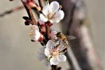 K800_DSC_4669.webp