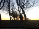 DSCN6576.webp