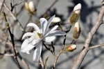 K800_DSC_4719.webp