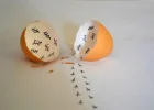 EggEscape.webp